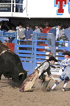 professional rodeo cowboys (and the rodeo clowns who protect them from animals they were riding on, after they fall.)