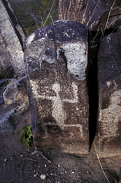 Indian petroglyphs at Three Rivers, New Mexico