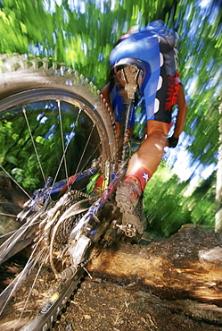 Mountain Biker on Tiger Mountain