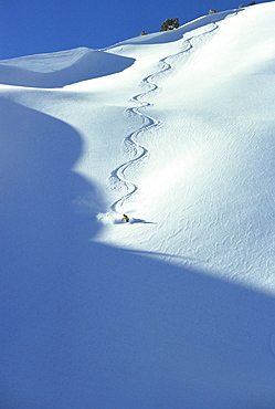 A lone skier enjoys a powder run in the Teton moutnains, Jackson Hole, Wyoming.