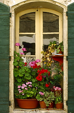 Flowers in the window of a home in Stes. Maries de la Mer, France.