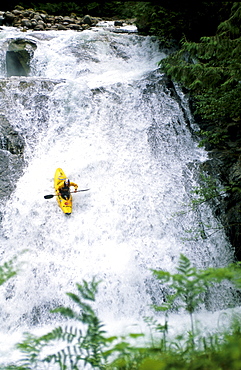 Extrem kayaker and world record waterfall holder (98,4 ft or 30 m) Tao Berman on a training day down the Skykomish river, Washington on July 15, 2002.