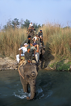 Tourists ride elephants and look for tigers and rhinos in Bardia National Park, Nepal.