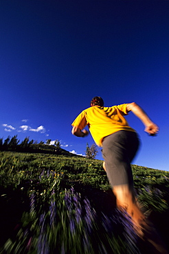 Dax Kelm trail running through a meadow of wild flowers, Jackson Hole Backcountry