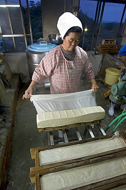 Kazuko Uezu, age 65, makes tofu before dawn in her small shop in the village of Hedo.  Despite 50 years of practice "every batch tastes slightly different" says Kazuko who rises at 4-am seven days a week to make tofu.  Traditional methods and a small production produces subtle variations in every batch despite the fact that tofu has only two ingredients, salt water and soy beans.  Kazuko get the salt water from the East China Sea (just down the road from her house) but the soybeans come from America.  Okinawan centenarians eat tofu daily and it is believed the high flavanoid content in tofu contributes to their longevity.  Flavanoids are known to fight breast and prostate cancer and believed to combat heart disease.