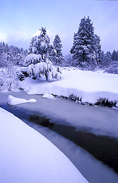 Trout Creek frozen after storm in South Lake Tahoe, CA