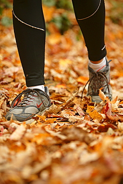 Rose Cowles runs through the fall leaves on the Boogerman Loop trail in the Cataloochee area of the Great Smoky Mountains National Park, NC