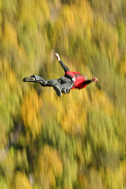 Unknown Base Jumper leaps off the Rt. 19 bridge over the New River Gorge at Fayetteville, WV for the Annual Bridge Day event.