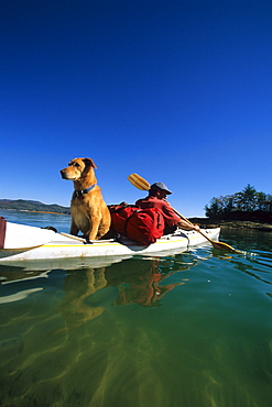 Dean Ganslein along with his dog, Blue, paddles a sea kayak on the clear waters of Lake Jocassee, SC.