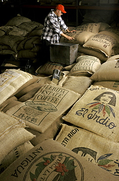 A man stands in the middle of coffee bags ready to be shipped for exportation.