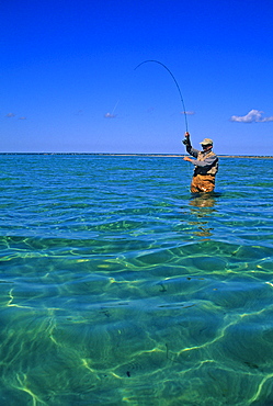 A salt water fly fisherman fights a striped bass at Monomoy National Wildlife Refuge, Massachusetts.