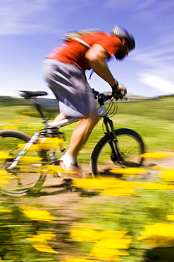 Man mountain biking in flowers, Tetons, Wyoming