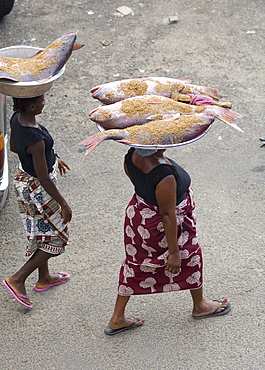 Two Liberian Women carrying large fish on their heads