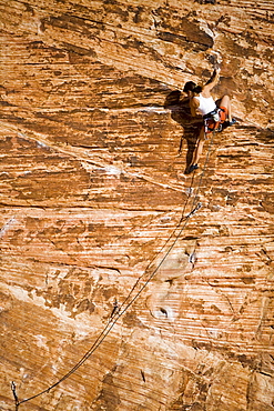 A woman climbing at the sandstone wall of Calico Basin, in Red Rocks Canyon Conservation Area.