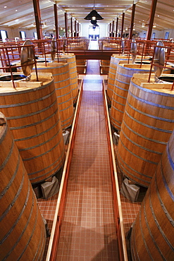 The oak fermentation tanks.