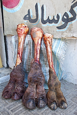 Camel hooves on display on a Esfahan butchery, Iran