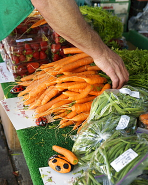 Carrots and other fresh vegetables at a Farmer's Market in San Francisco, California.