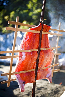 Salmon cooks in the native people style over an open flame.