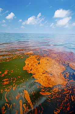 Near Grand Terre Island. Oil slicks on the surface are apparent everywhere.