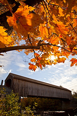 Autumn in Maine.