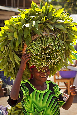 Woman Carries Cassava Leaves on head to market