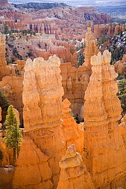 Vista of hoodoos in Bryce Canyon National Park in winter, Southern Utah