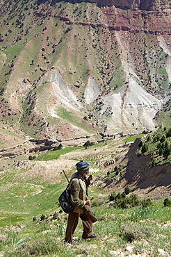 A local hunter, Abdul Rahim, walks up a grass covered slope above a steep valley, in the  Band-e Baba range, Herat Province, Afghanistan