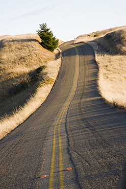 Road in San Francisco, California.