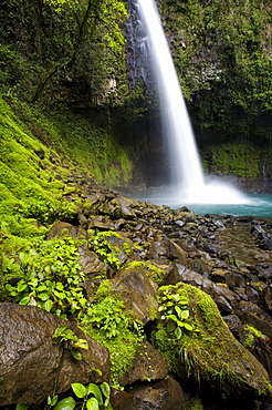 La Fortuna Waterfall, near Arenal, Costa Rica, crashes down into a glowing emerald pool