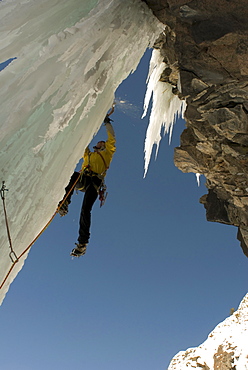 A professional male climber ascends a frozen waterfall pillar while ice climbing near Ouray, Colorado.