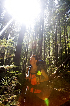 Sun rays fill the frame as a young woman takes a break from backpacking on a sunny afternoon.