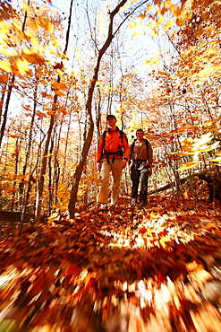 A low-angle, blur-motion image of hikers in an autumn forest in North Carolina.