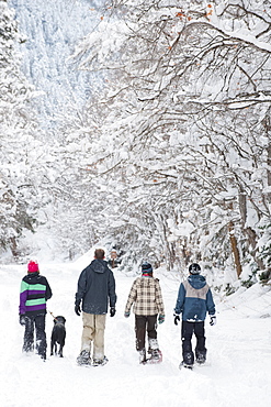 A group of young adults snowshoe down a path in Millcreek Canyon with their dog, Salt Lake City, Utah.