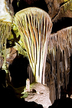 The famous Parachute Shield in the Lehman Caves, Great Basin National Park, NV.