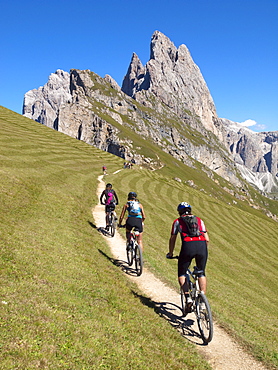 Three mountain bikers are riding a small single trail high in the mountains, with a rock cliff in the background .