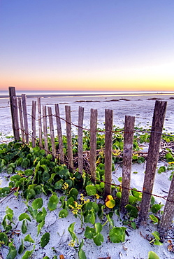 A wooden beach fence at sunset on Hilton Head Island, South Carolina.