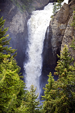 Tower Fall at peak flow in Yellowstone National Park, Wyoming.