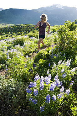 A woman trail running past wildflowers on the Lupine Trail in Crested Butte, Colorado.