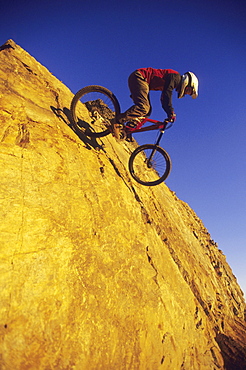 Biker riding in Whistler, BC
