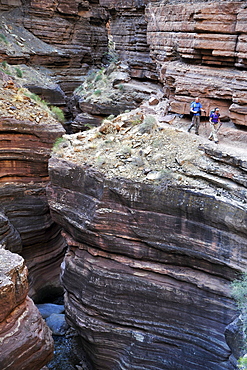 Hikers walk along Deer Creek Narrows in the Grand Canyon outside of Fredonia, Arizona November 2011.  The 21.4-mile loop starts at the Bill Hall trailhead on the North Rim and descends 2000-feet in 2.5-miles through Coconino Sandstone to the level Esplanada then descends further into the lower canyon through a break in the 400-foot-tall Redwall to access Surprise Valley.  Hikers connect Thunder River and Tapeats Creek to a route along the Colorado River and climb out Deer Creek.