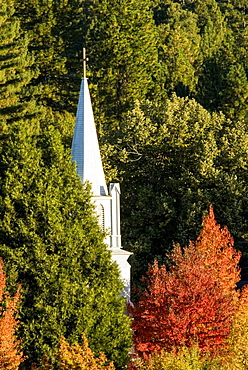 Historic St. Canice Catholic Church spire and fall colors in Nevada City, Nevada City, California, USA