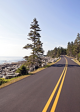 A road winds along the coast on the Schoodic Peninsula section of Maine's Acadia National Park.