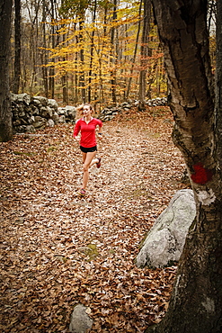 A woman runs through autumn woods along a leaf covered trail in Connecticut.