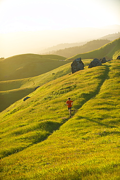 Man runs trails in the Marin Headlands in California.