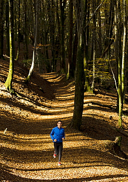 Spanish athlete Aitor Porres  posing on a forest with yellow-gold colour leafs in Artikutza, Spain.