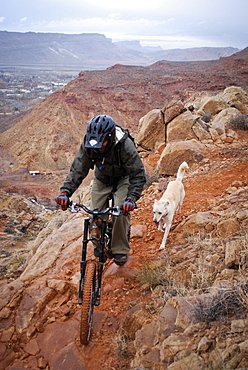 Experienced riders descend a downhill mountain bike trial which drops into the town of Moab, Utah.