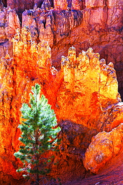 High angle scenic view of Bryce Canyon National Park.