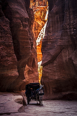 Ahorse drawn carriage going through the Siq at Petra, Jordan