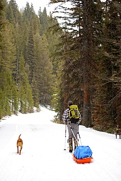 Man skis uphill with his dog towing a sled in the Frank Church River of No Return Wilderness.