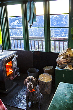 A German Shorthaired Pointer sits in front of a wood fire stove in an old fire lookout in Montana while skins dry out from a day of skiing.